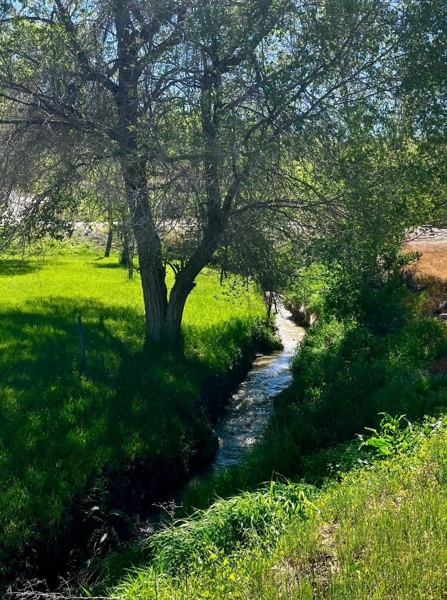Let'S Go ! Fisherman, Families, Pools One Minute From Your Door, Comfort, Location Perfect, Amenity-Rich, Pup Friendly, Discover An Exceptional Wyoming Stay, Thermopolis River Walk Home At Hot Springs State Park, 'Where Families And Fisherman Stay' Exterior foto